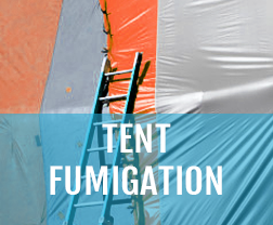 tent fumigation melbourne
